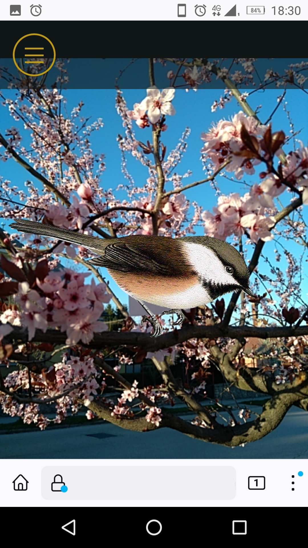Augmented reality printscreen of a virtual bird sitting on a real flowering tree branch from the Visitor's Guide module 